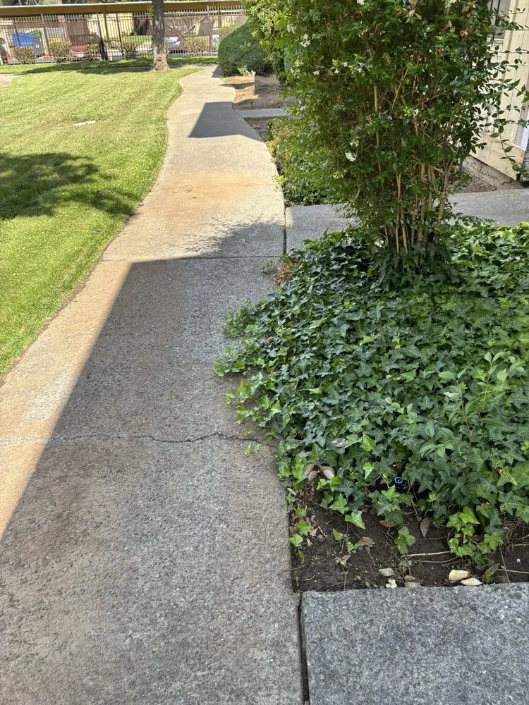 Affordable landscape installation in Sacramento, CA - Elite Landscape