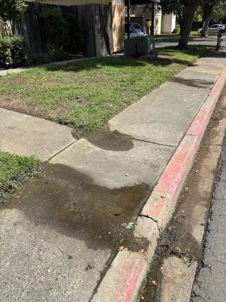 Top-rated landscape installation in Sacramento, CA - Elite Landscape