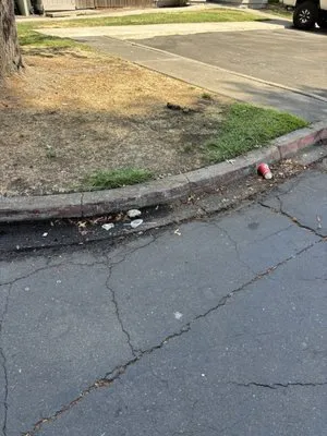 Elite Landscape Logo