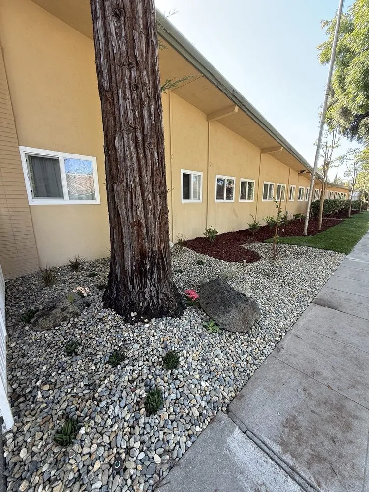 Top-rated landscape installation in Los Banos, CA by Elite Landscape Services