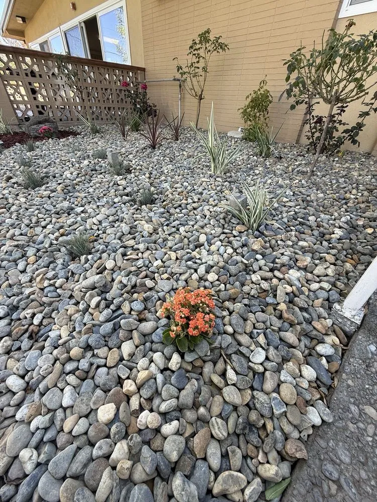 Affordable residential landscaping for homes across Los Banos, CA - Elite Landscape Services