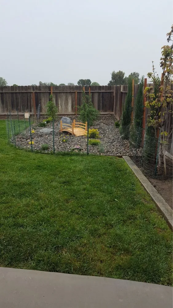 Local landscape design experts serving Los Banos, CA - Elite Landscape Services