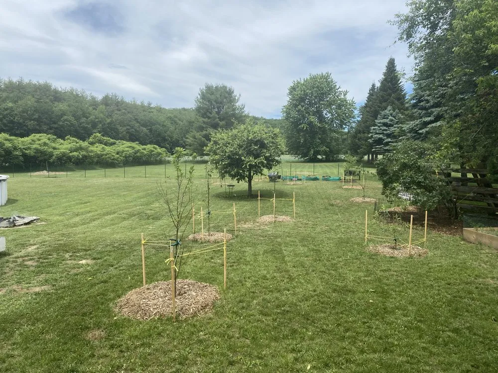 Expert garden landscaping in Claremont, NH by Elite Landscape Solutions