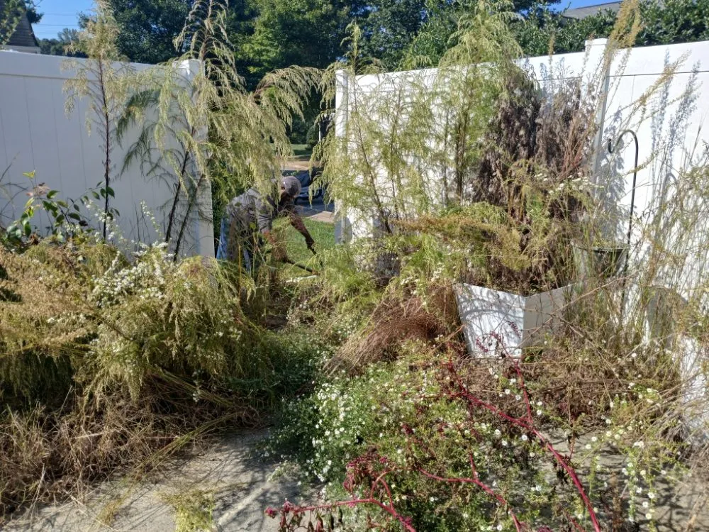 Professional garden landscaping in Statesville, NC by Elite Landscape