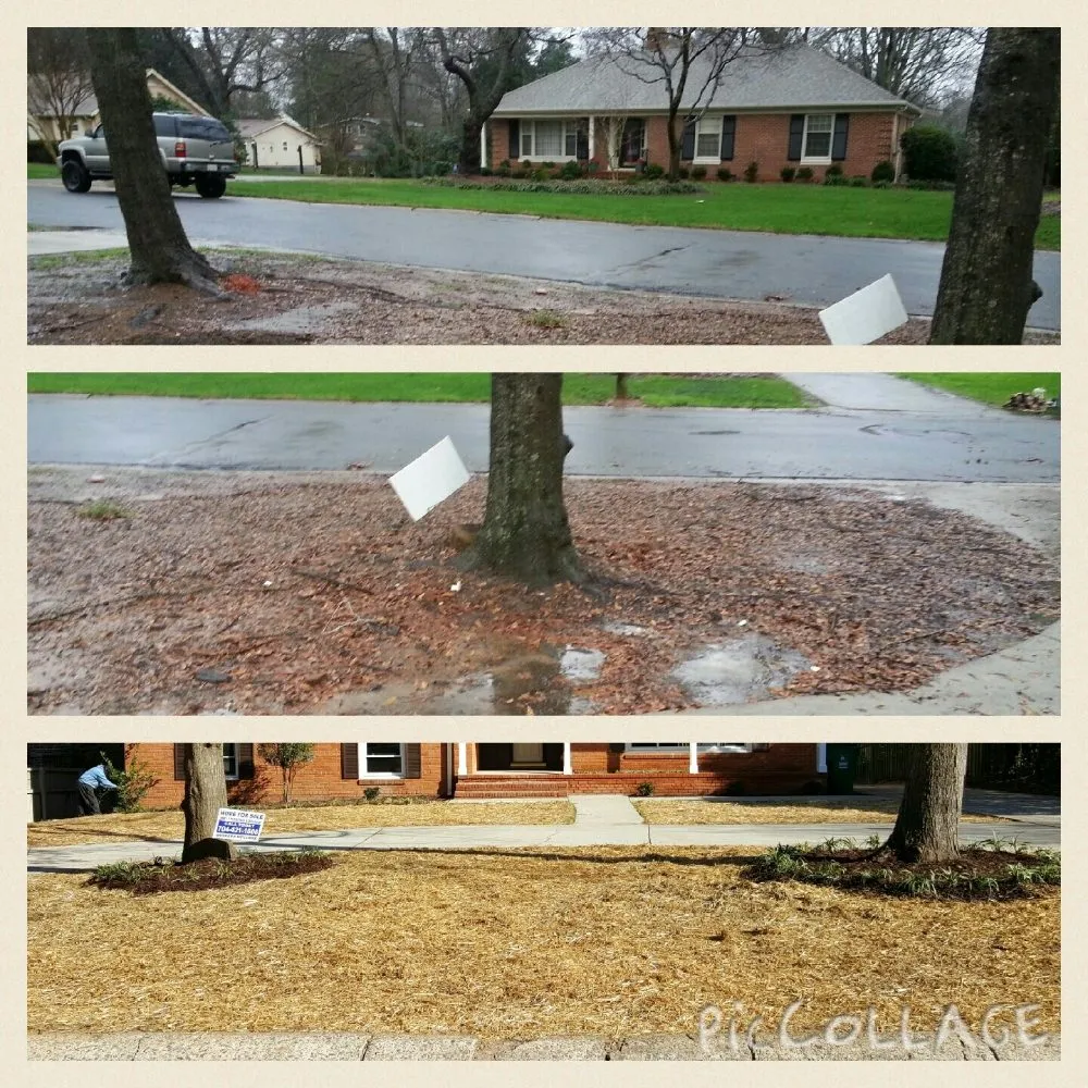 Expert residential landscaping for beautiful yards in Statesville, NC by Elite Landscape