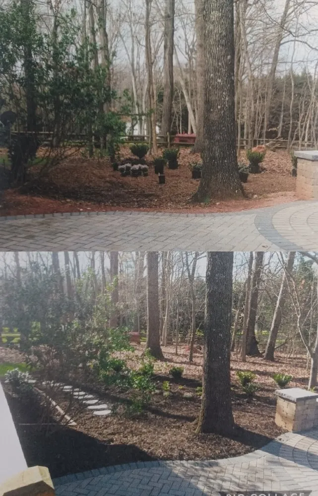 Professional outdoor landscaping in Statesville, NC by Elite Landscape