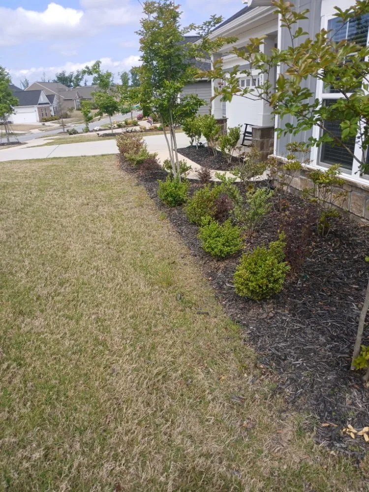 Affordable landscaping services in Statesville, NC - Elite Landscape