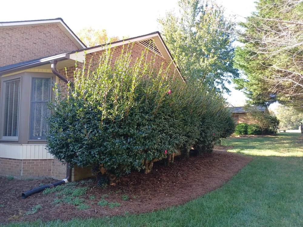 Trusted yard maintenance in Statesville, NC by Elite Landscape