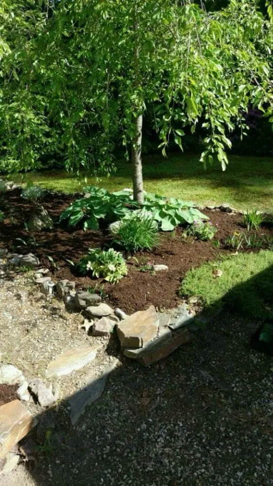 Top-rated lawn mowing service experts serving Tariffville, CT - Elite Landscape