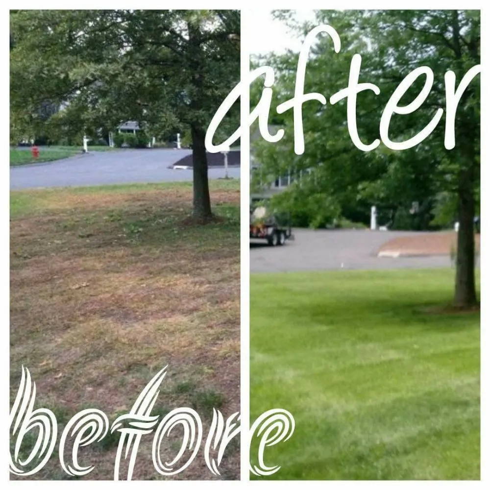 Professional lawn mowing service experts serving Tariffville, CT - Elite Landscape