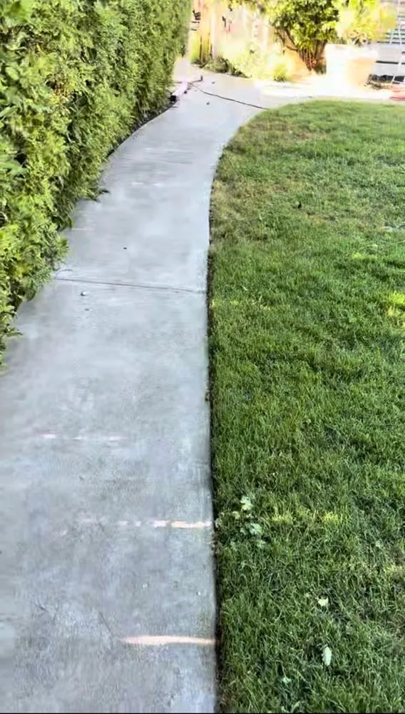 Trusted residential landscaping in San José, CA - Elite Landscapers