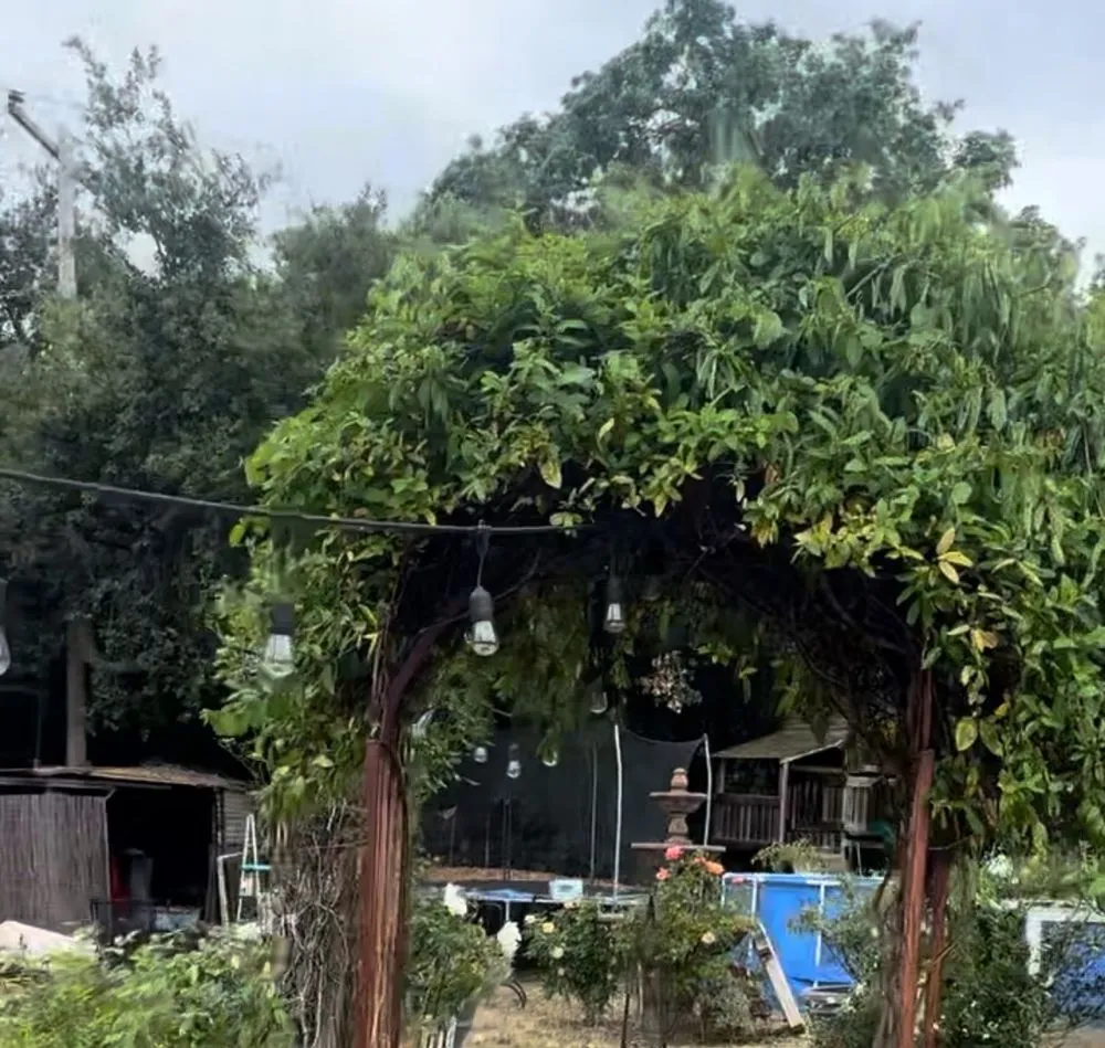 Reliable landscape installation in San José, CA by Elite Landscapers