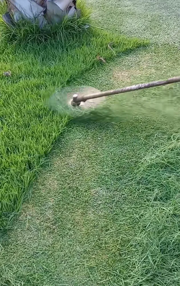 Trusted landscape installation experts serving San José, CA - Elite Landscapers