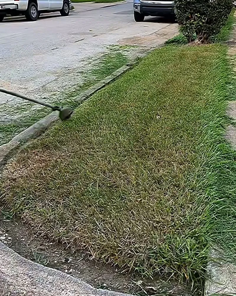 Local lawn mowing service for beautiful yards across San José, CA - Elite Landscapers