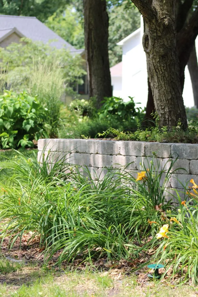 Professional lawn mowing service in Charlotte, MI by Elite Landscapes