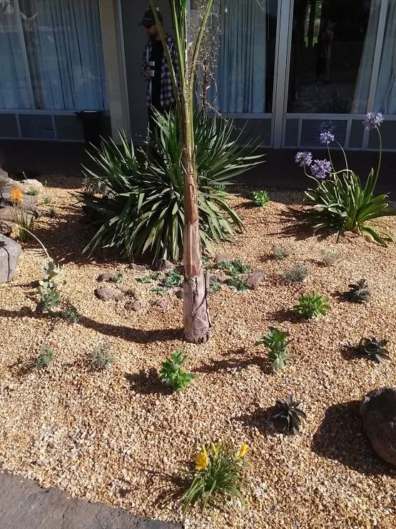 Professional garden landscaping experts serving Morristown, TN - Elite Landscapes