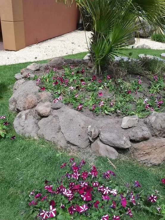 Trusted landscape installation in Morristown, TN by Elite Landscapes