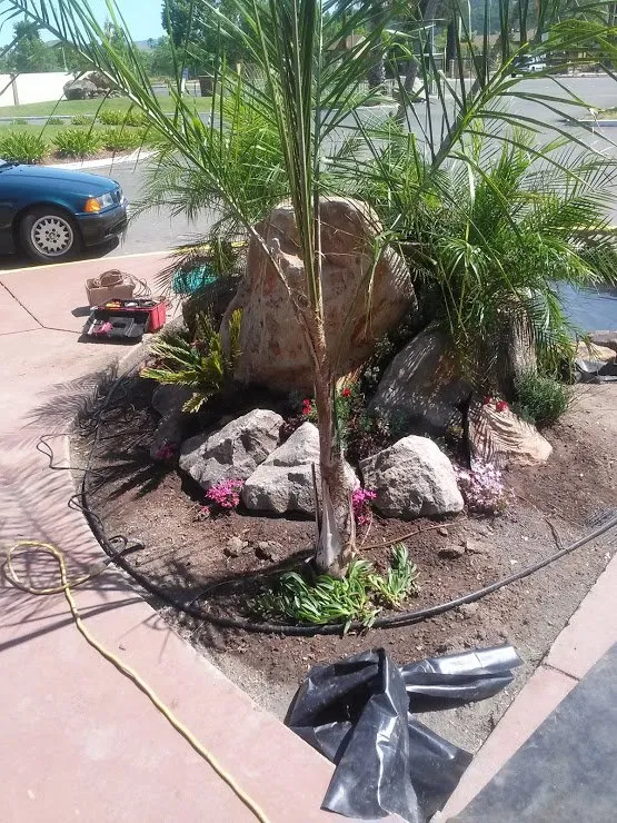 Trusted landscaping services experts serving Morristown, TN - Elite Landscapes