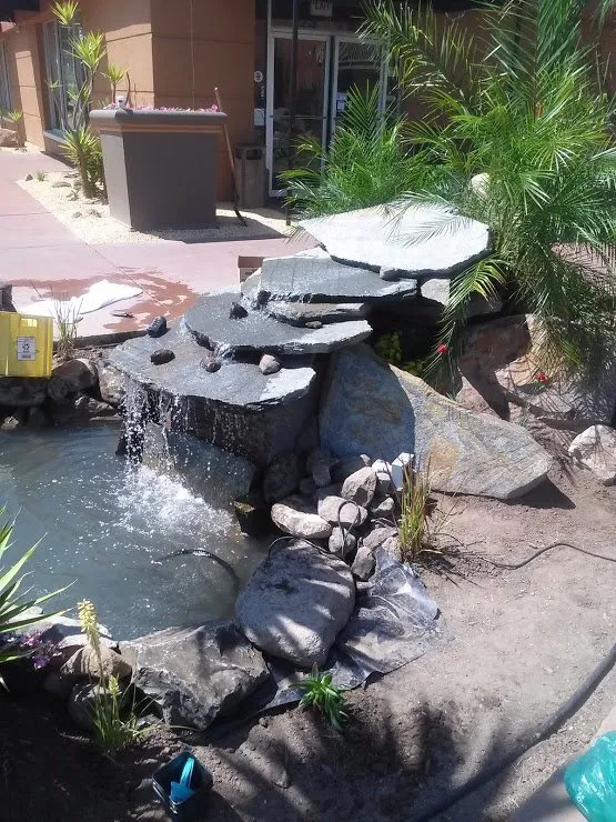 Trusted lawn care service for beautiful yards in Morristown, TN by Elite Landscapes