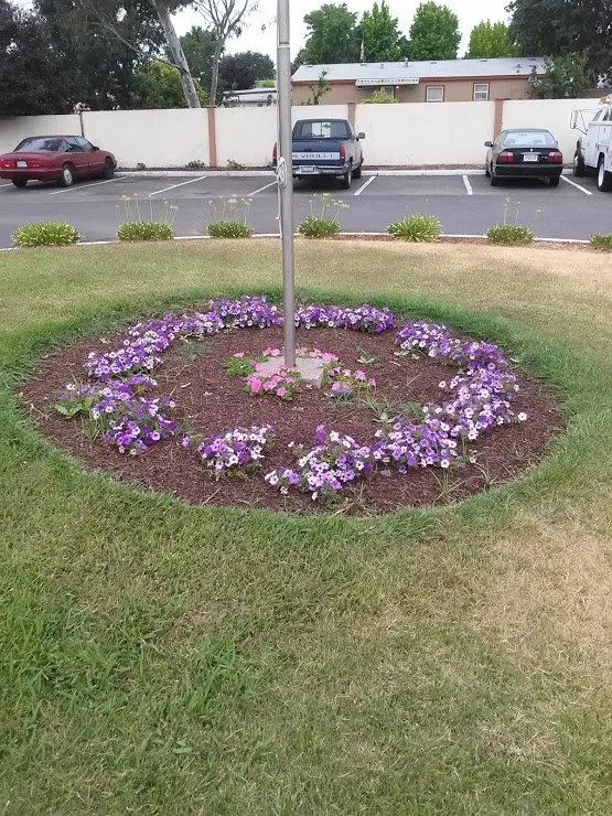 Reliable lawn care service in Morristown, TN - Elite Landscapes