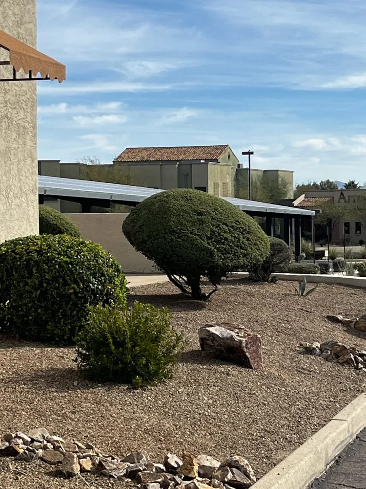 Expert landscape design near you across Tucson, AZ - Elite Landscapes