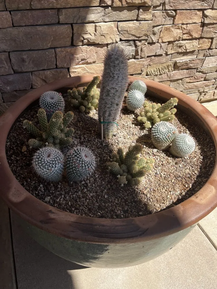 Trusted landscaping services experts serving Tucson, AZ - Elite Landscapes