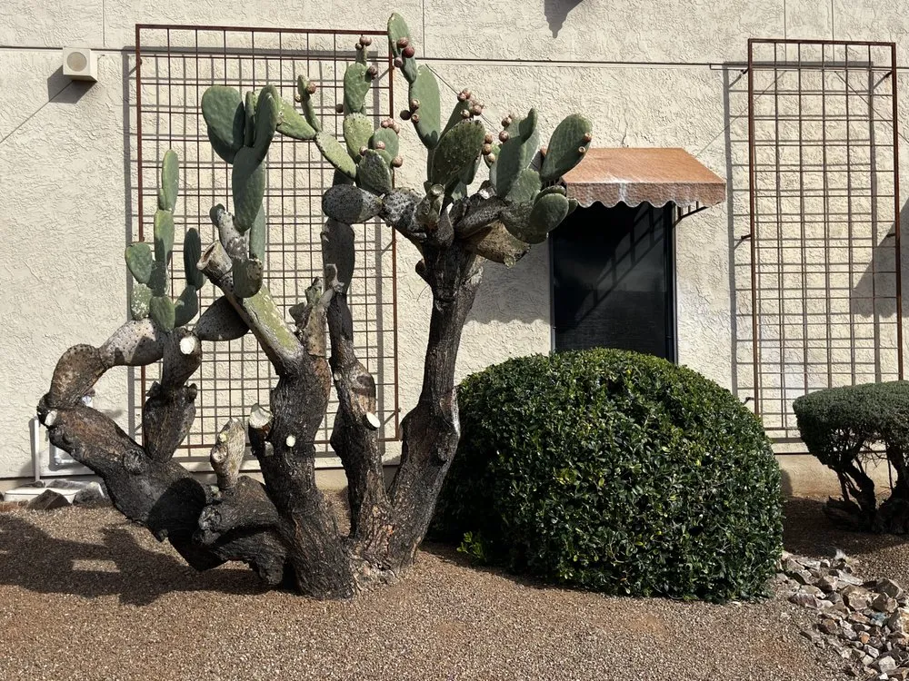 Professional lawn mowing service in Tucson, AZ by Elite Landscapes