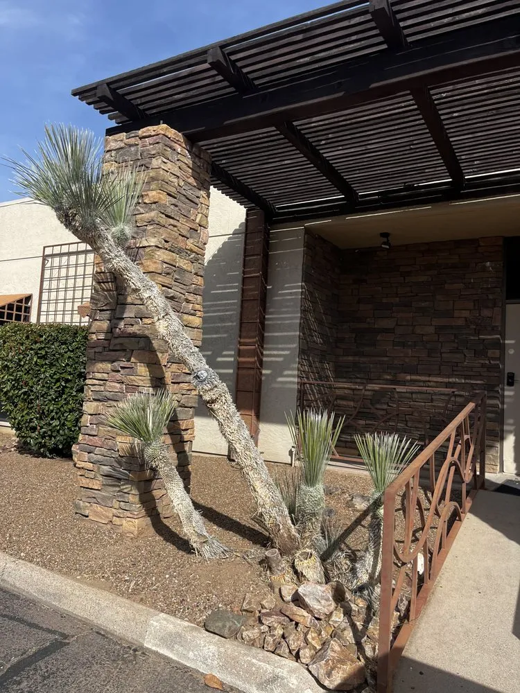 Local lawn mowing service with custom design in Tucson, AZ by Elite Landscapes