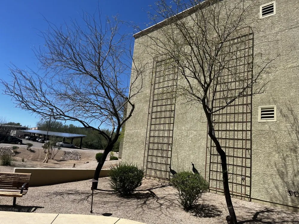 Top-rated landscape installation for residential properties across Tucson, AZ - Elite Landscapes