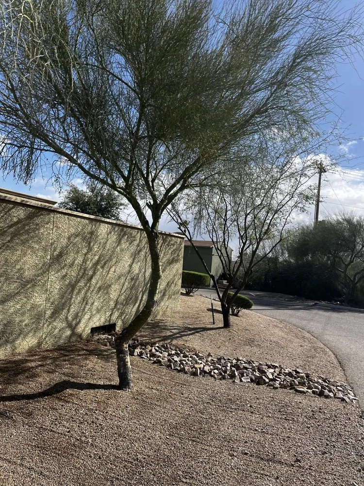 Custom outdoor landscaping in Tucson, AZ by Elite Landscapes