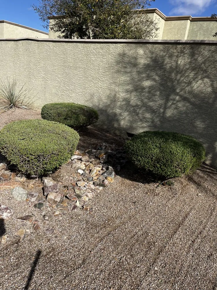 Professional landscape design in Tucson, AZ - Elite Landscapes