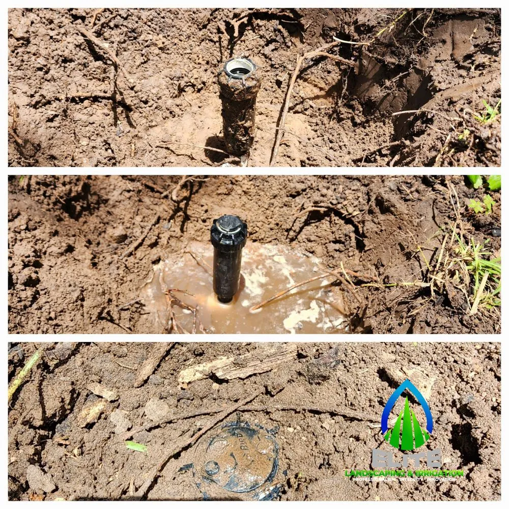 Professional garden landscaping for residential properties across Decatur, TX - Elite Landscaping & Irrigation