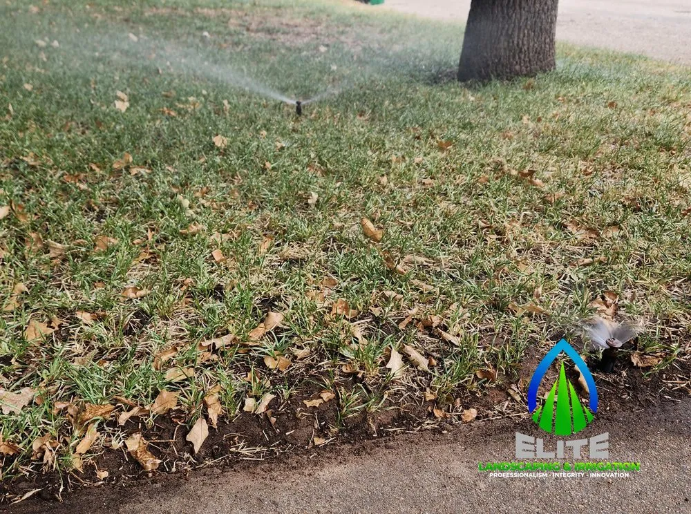 Affordable landscape installation for year-round maintenance in Decatur, TX by Elite Landscaping & Irrigation
