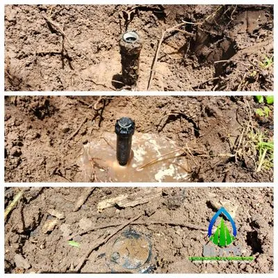 Elite Landscaping & Irrigation