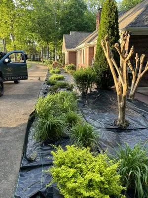 Elite Landscaping & Lawncare