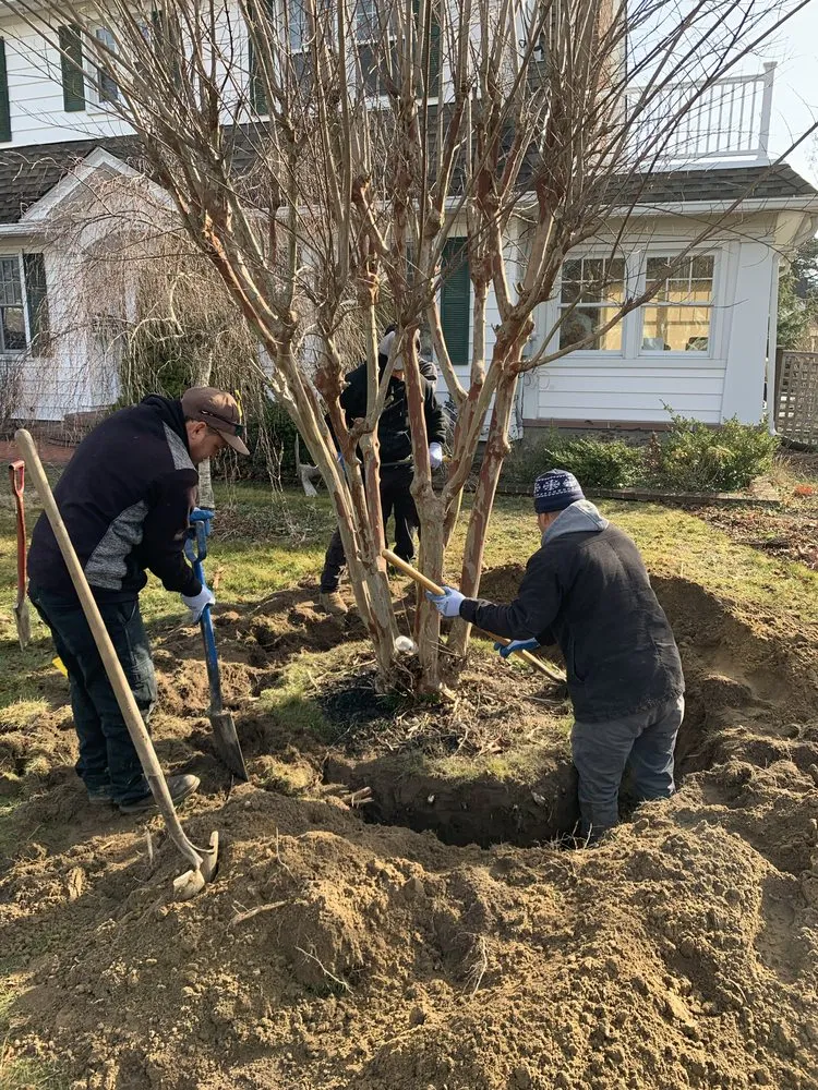 Top-rated landscape installation experts serving West Sayville, NY - Elite Landscaping & Maintenance