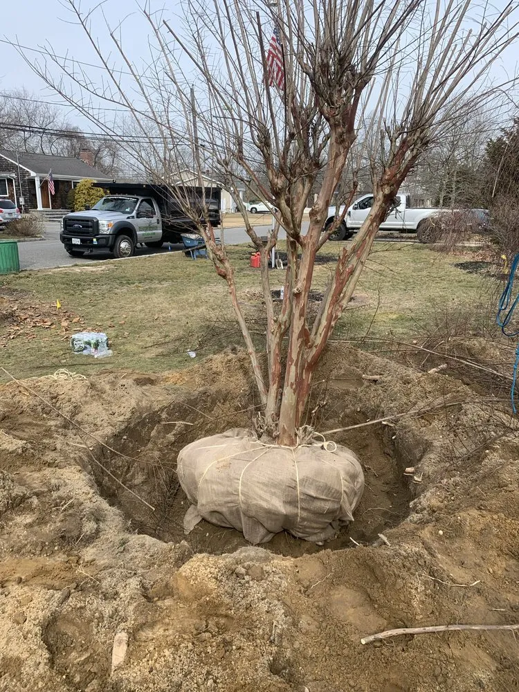 Local lawn care service in West Sayville, NY - Elite Landscaping & Maintenance