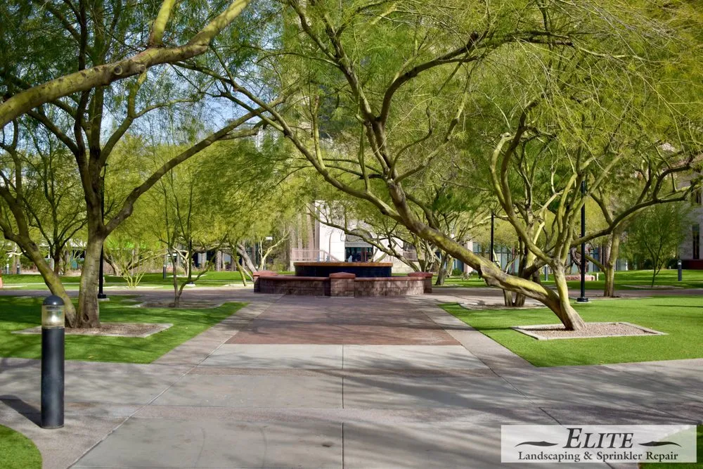 Professional landscape design in Phoenix, AZ - Elite Landscaping & Sprinkler Repair