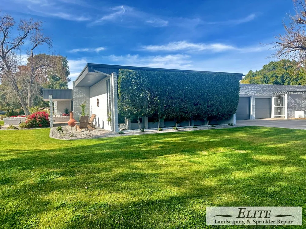 Reliable yard maintenance for residential properties in Phoenix, AZ by Elite Landscaping & Sprinkler Repair