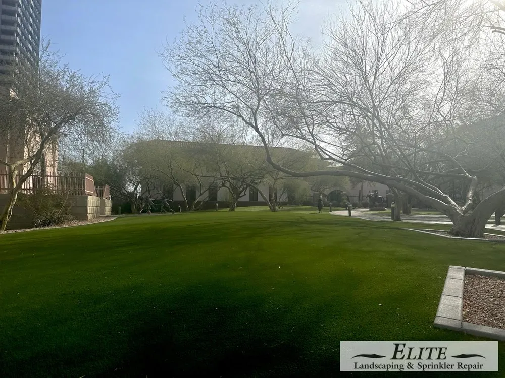 Professional yard maintenance for homes across Phoenix, AZ - Elite Landscaping & Sprinkler Repair