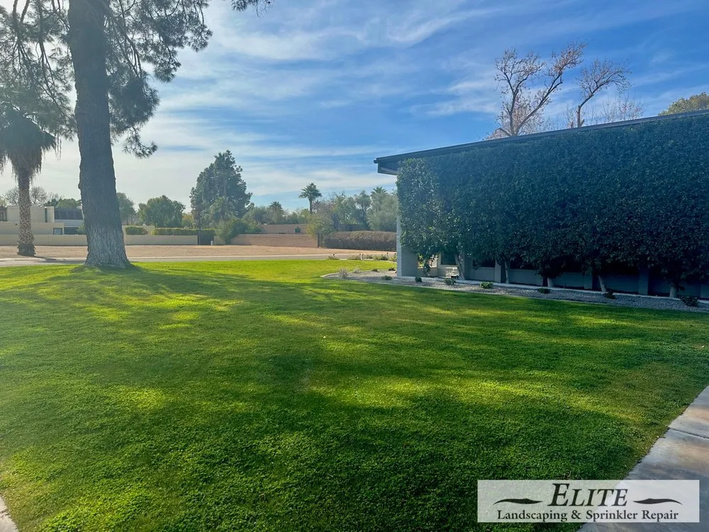 Custom lawn mowing service in Phoenix, AZ - Elite Landscaping & Sprinkler Repair