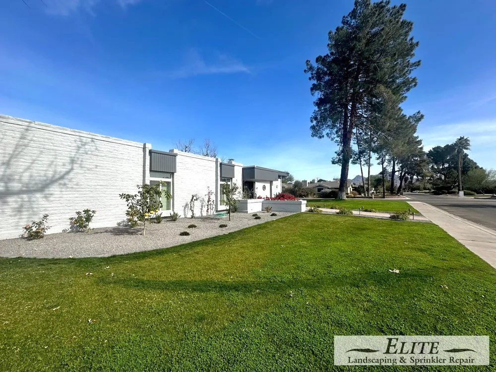 Top-rated landscaping services with custom design across Phoenix, AZ - Elite Landscaping & Sprinkler Repair
