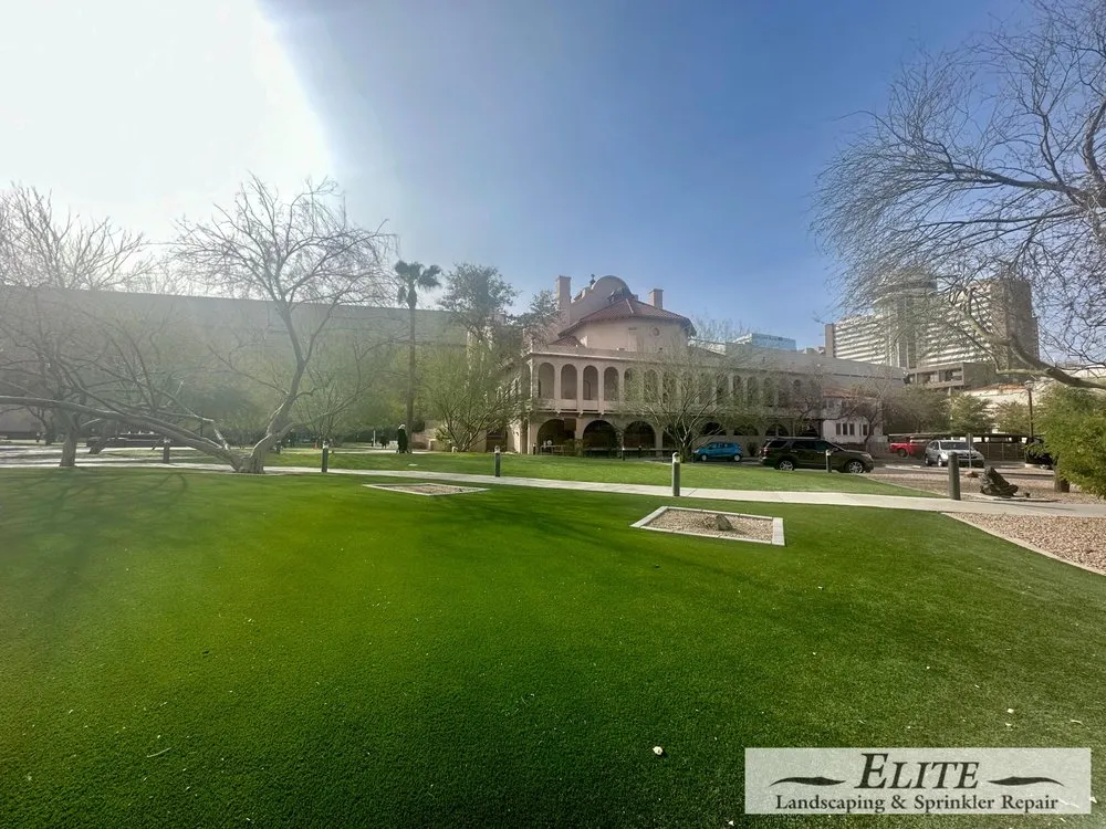 Local lawn care service experts serving Phoenix, AZ - Elite Landscaping & Sprinkler Repair