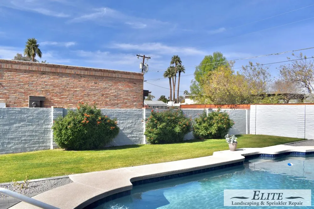 Local lawn care service with custom design in Phoenix, AZ by Elite Landscaping & Sprinkler Repair