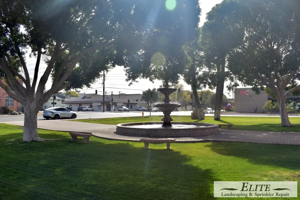 Affordable lawn mowing service in Phoenix, AZ - Elite Landscaping & Sprinkler Repair