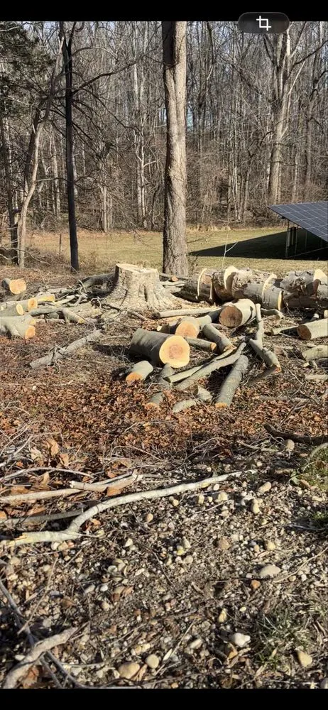 Reliable garden landscaping in Highland Beach, MD by Elite Landscaping & Tree Removal