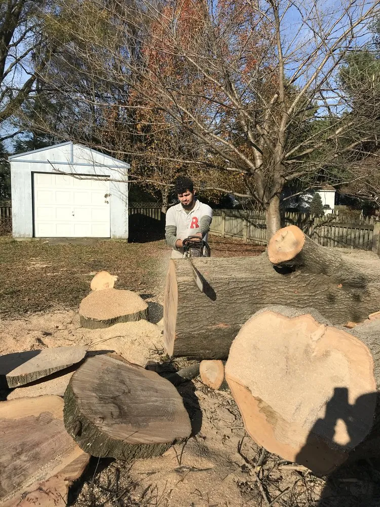 Affordable yard maintenance in Highland Beach, MD - Elite Landscaping & Tree Removal