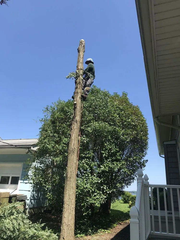 Expert outdoor landscaping experts serving Highland Beach, MD - Elite Landscaping & Tree Removal