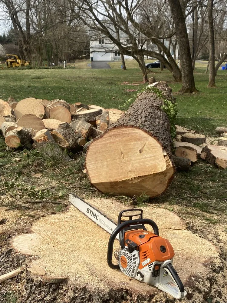 Professional landscaping services in Highland Beach, MD by Elite Landscaping & Tree Removal