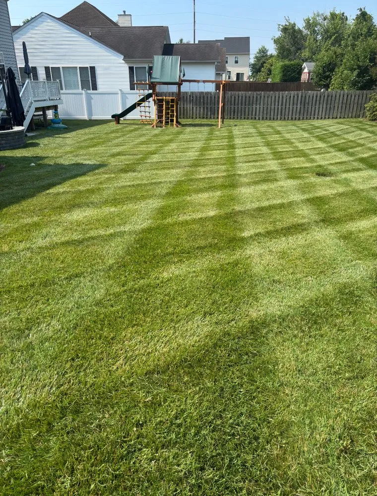 Top-rated landscape design with custom design in Highland Beach, MD by Elite Landscaping & Tree Removal